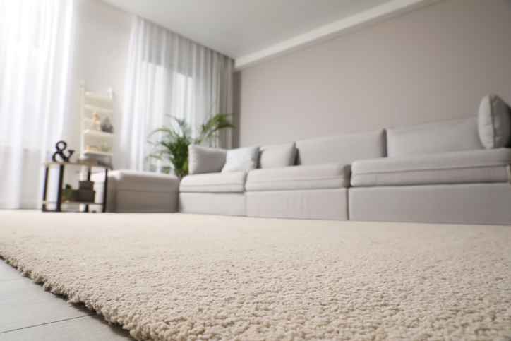 A close-up shot of plush carpeting in a living room